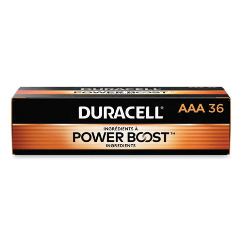 Power Boost CopperTop Alkaline AAA Batteries