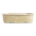 No Tree Rectangular Containers