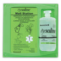 Fendall Single Eye Wash Station