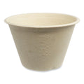 Fiber Cups