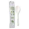 TPLA Compostable Cutlery