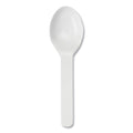PLA Compostable Cutlery