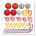 Physical Education Kit with 7 Balls