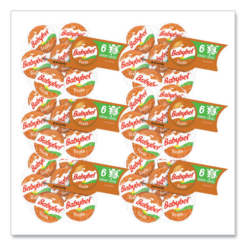 Gouda