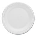 Concorde Non-Laminated Foam Plates