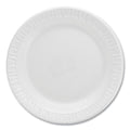 Quiet Classic Laminated Foam Dinnerware Plates