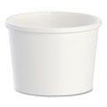 Flexstyle Double Poly Paper Containers