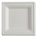 Vanguard Renewable and Compostable Sugarcane Plates