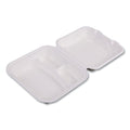 Vanguard Renewable and Compostable Sugarcane Clamshells
