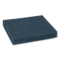 All-Purpose Scouring Pad 9000