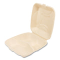 Bagasse PFAS-Free Food Containers