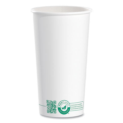 Compostable Paper Hot Cups