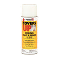 Covers Up Ceiling Paint and Primer
