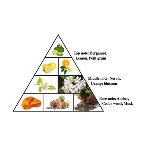 Amazon product image 2