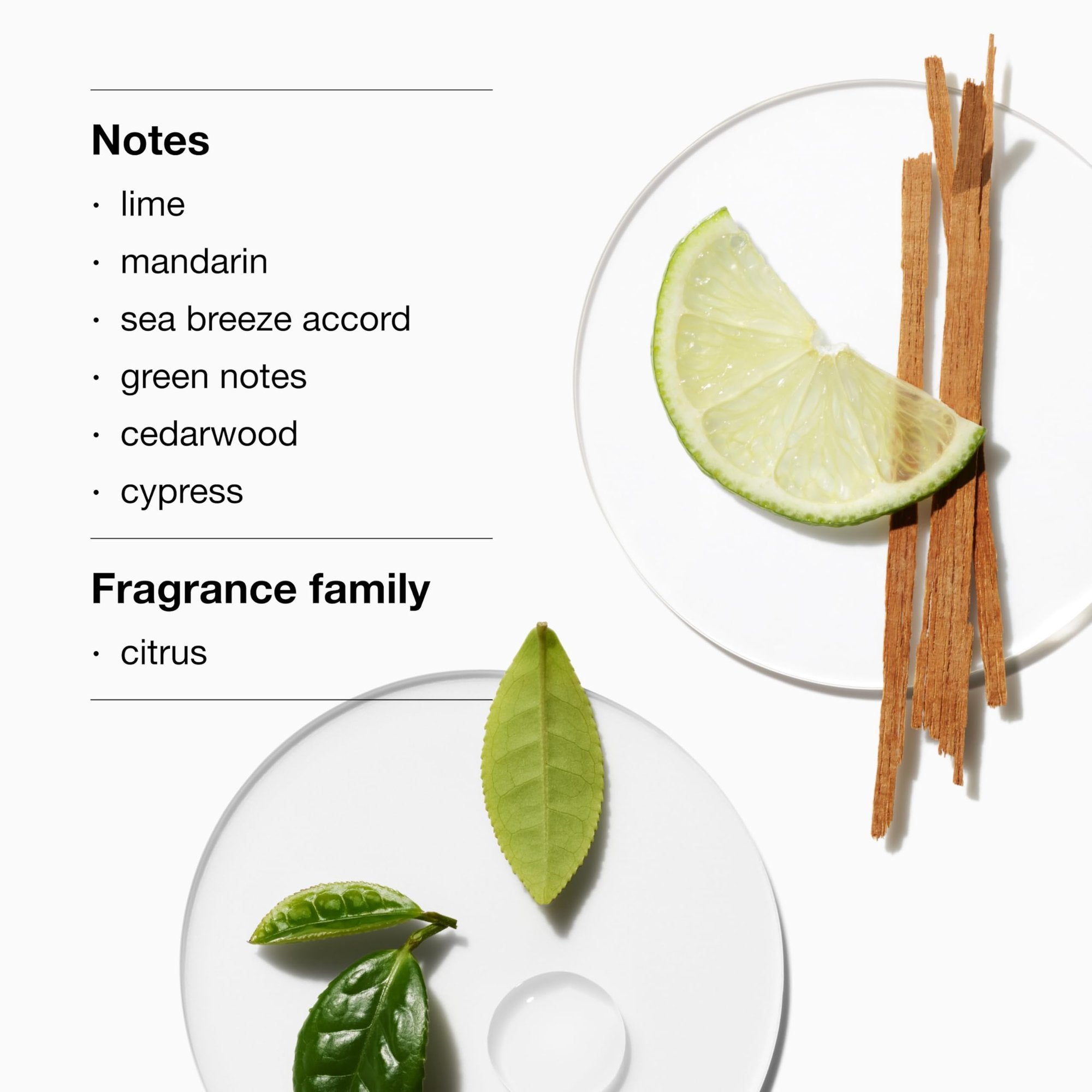 Amazon product image 2