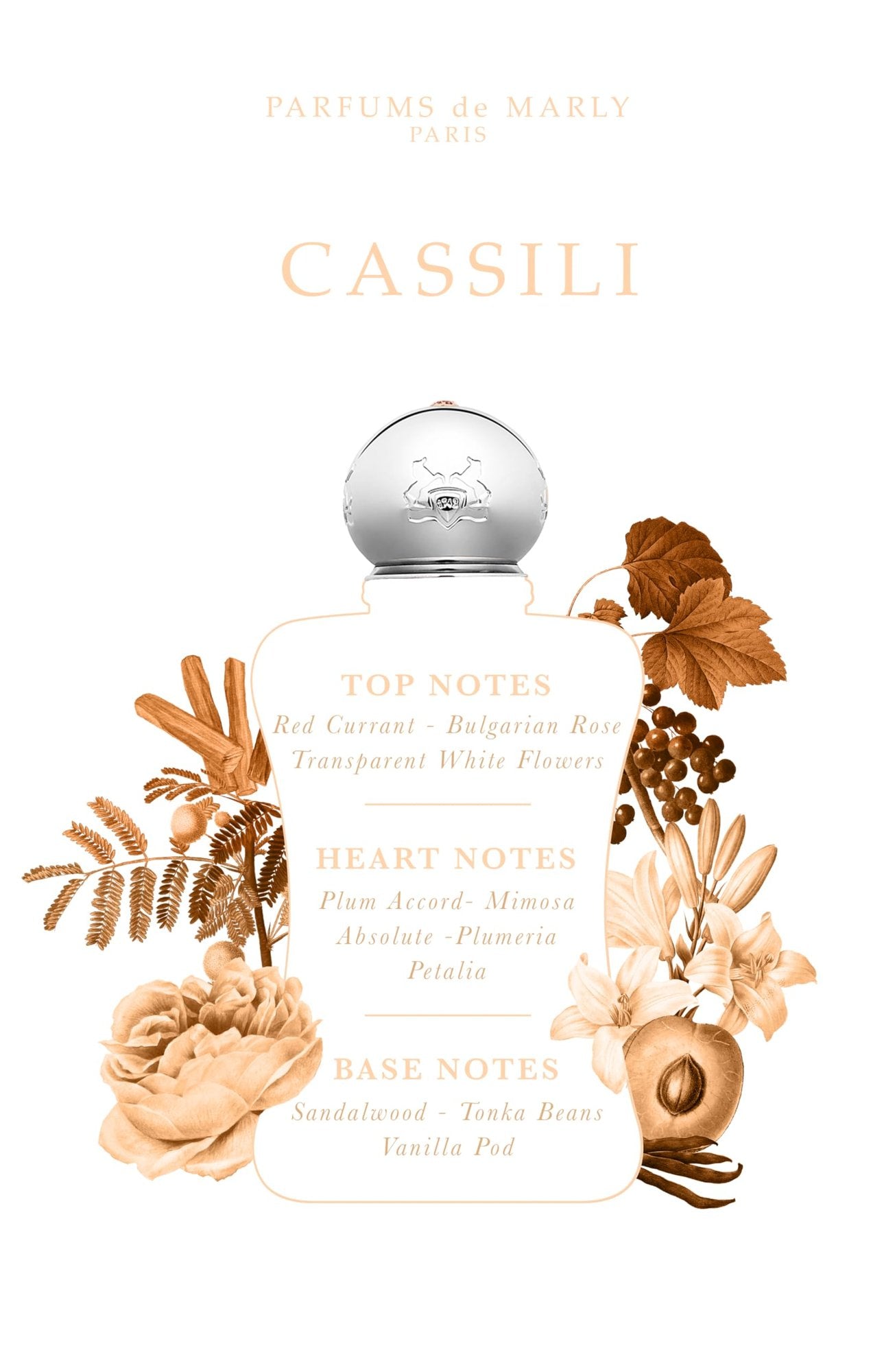 Amazon product image 3