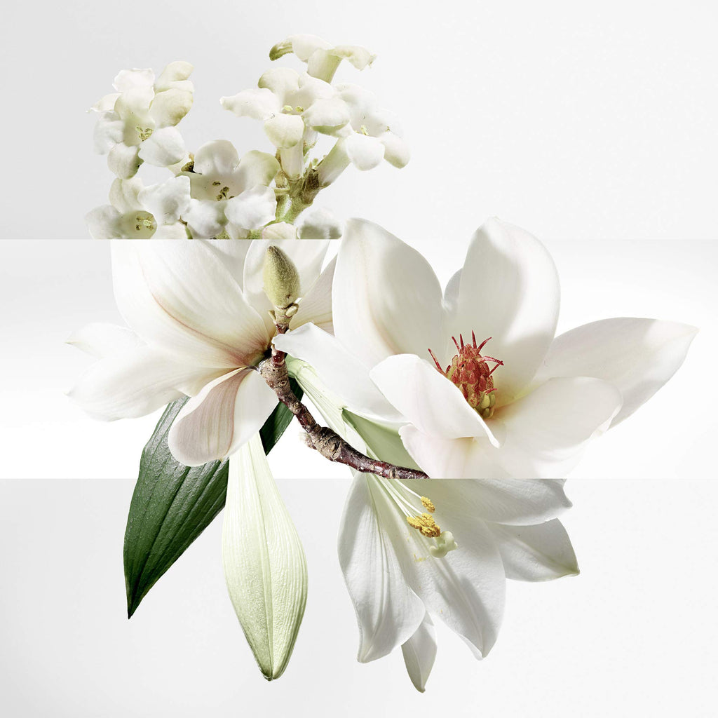 Amazon product image 3